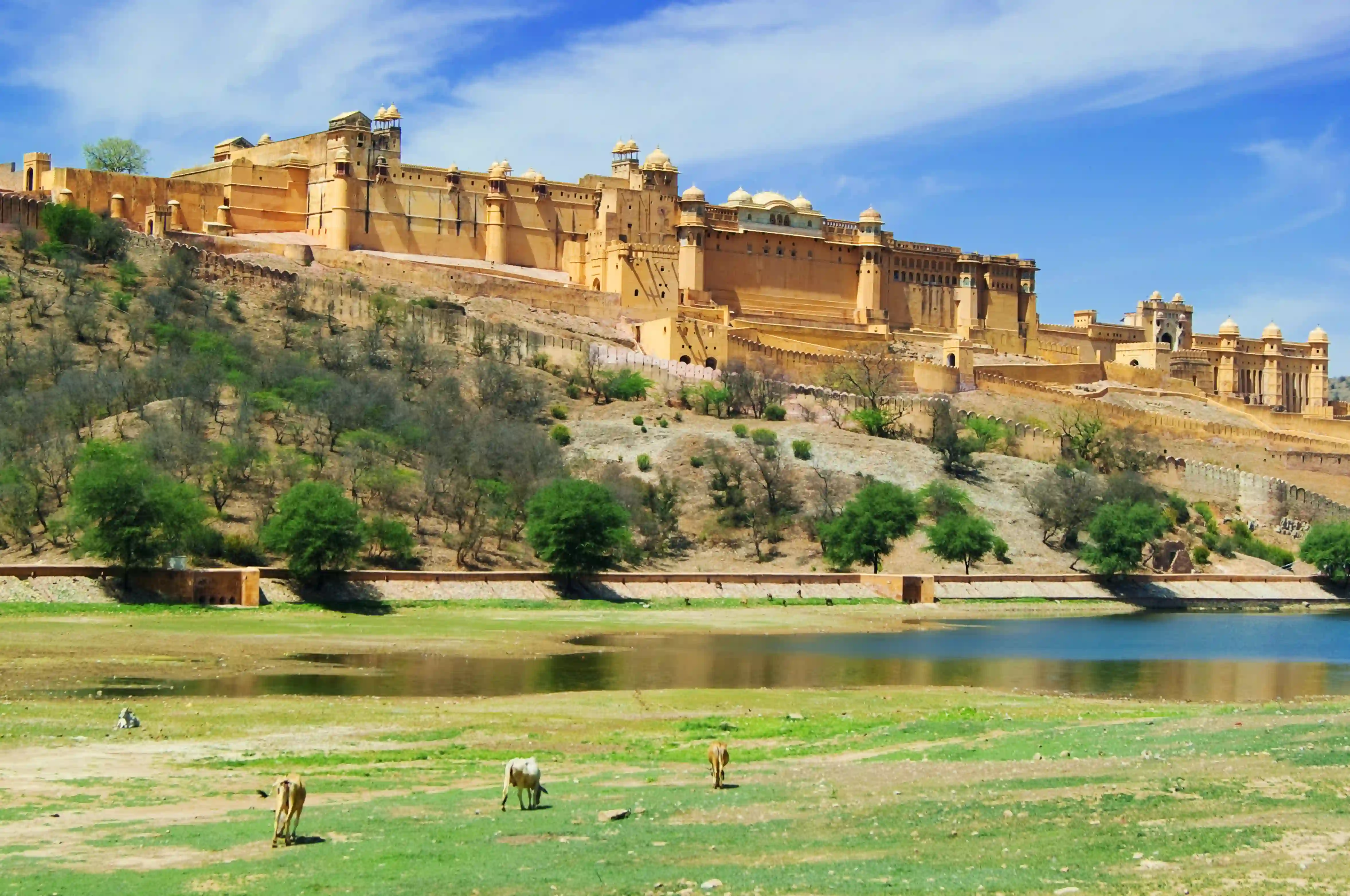 From Delhi: Jaipur City Private Day Tour by Car